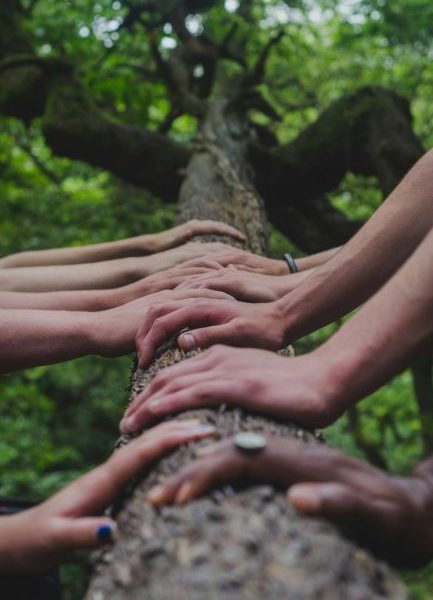 shane-rounce-DNkoNXQti3c-unsplash-1-433×600.jpg Vereinbarkeit für Unternehmen Wegeschmiede