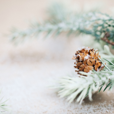 Adventskalender 2025 Wegeschmiede Employee Experience gestalten